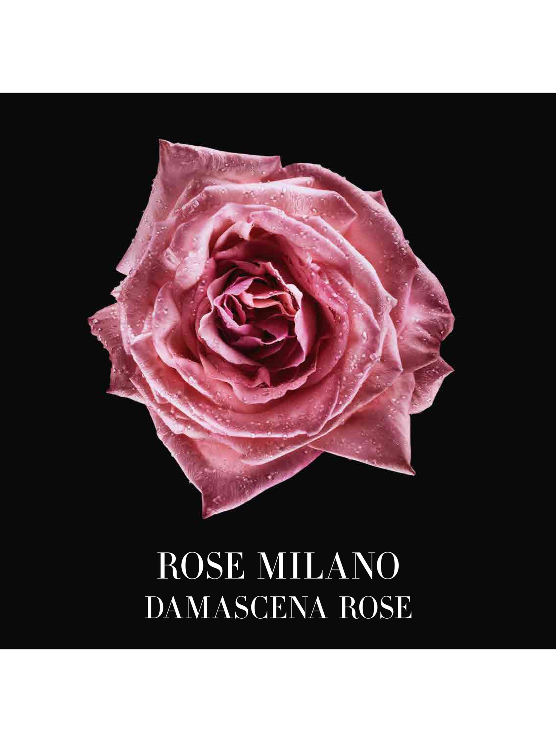 Giorgio Armani / Privé Les Eaux Rose Milano Eau de Toilette, 50ml
