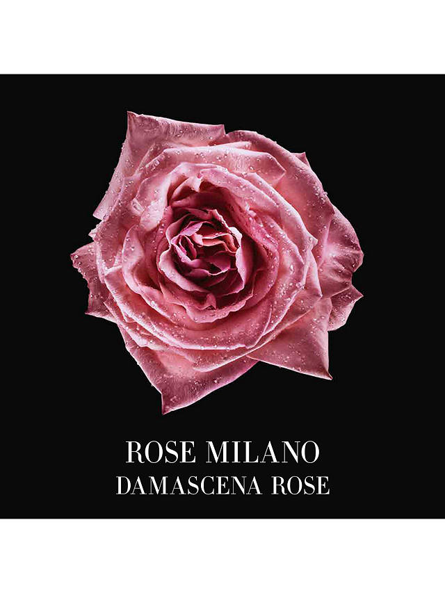 Giorgio Armani / Privé Les Eaux Rose Milano Eau de Toilette, 50ml 3