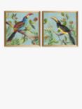 Aimee Wilson - Paradise Toucan Bird Framed Prints, Set of 2, 33 x 33cm, Blue/Multi