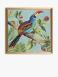 Aimee Wilson - Paradise Toucan Bird Framed Prints, Set of 2, 33 x 33cm, Blue/Multi