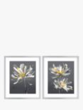 Green Lili - Modern Floral Framed Print & Mount, Set of 2, 63.5 x 53.5cm, Grey/Yellow