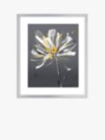 Green Lili - Modern Floral Framed Print & Mount, Set of 2, 63.5 x 53.5cm, Grey/Yellow