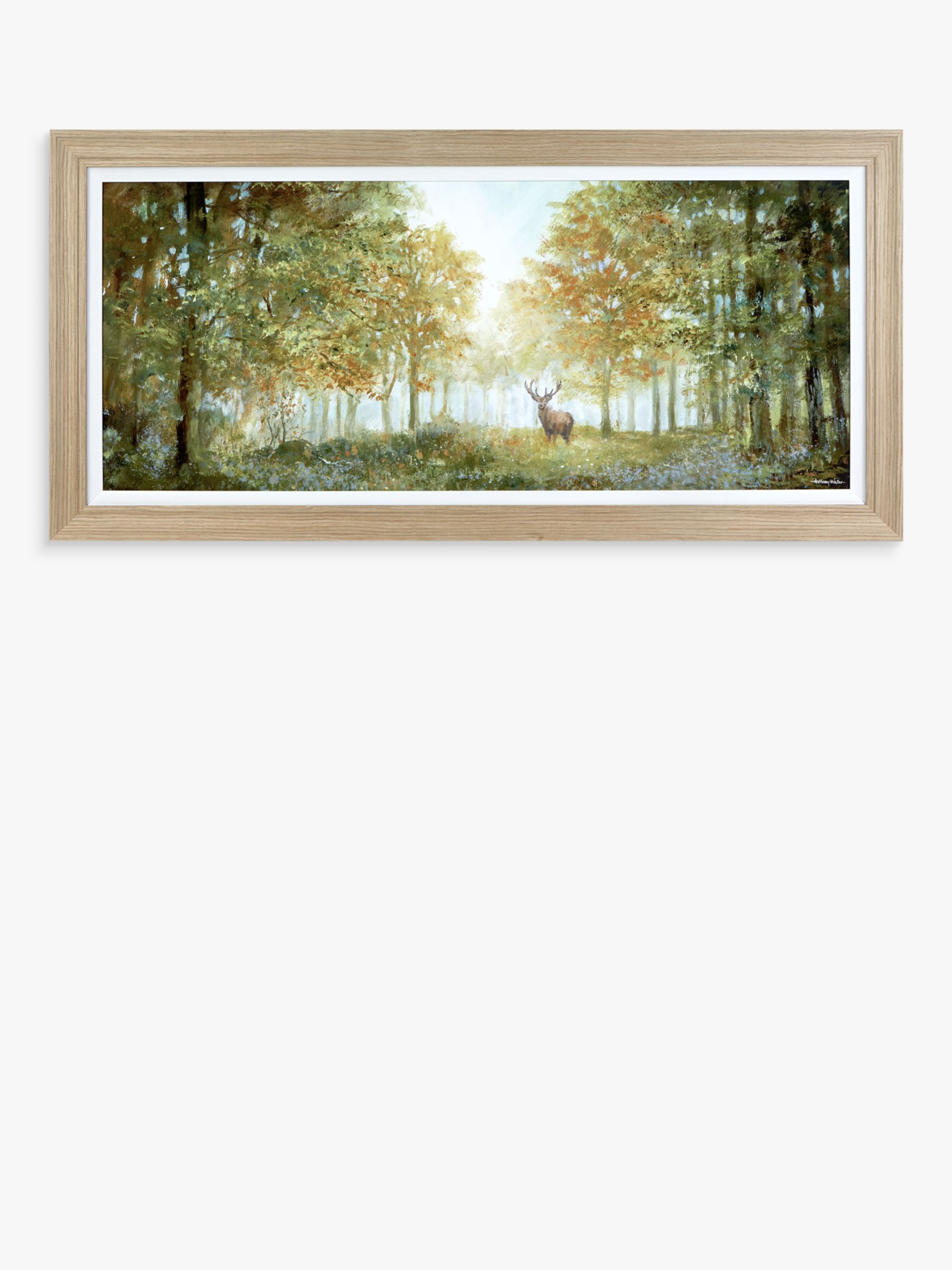 Mike Shepherd 'Morning Woodland' Framed Print, 52 X 107cm