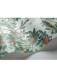 Cole & Son Orange Blossom Wallpaper, 117/1004