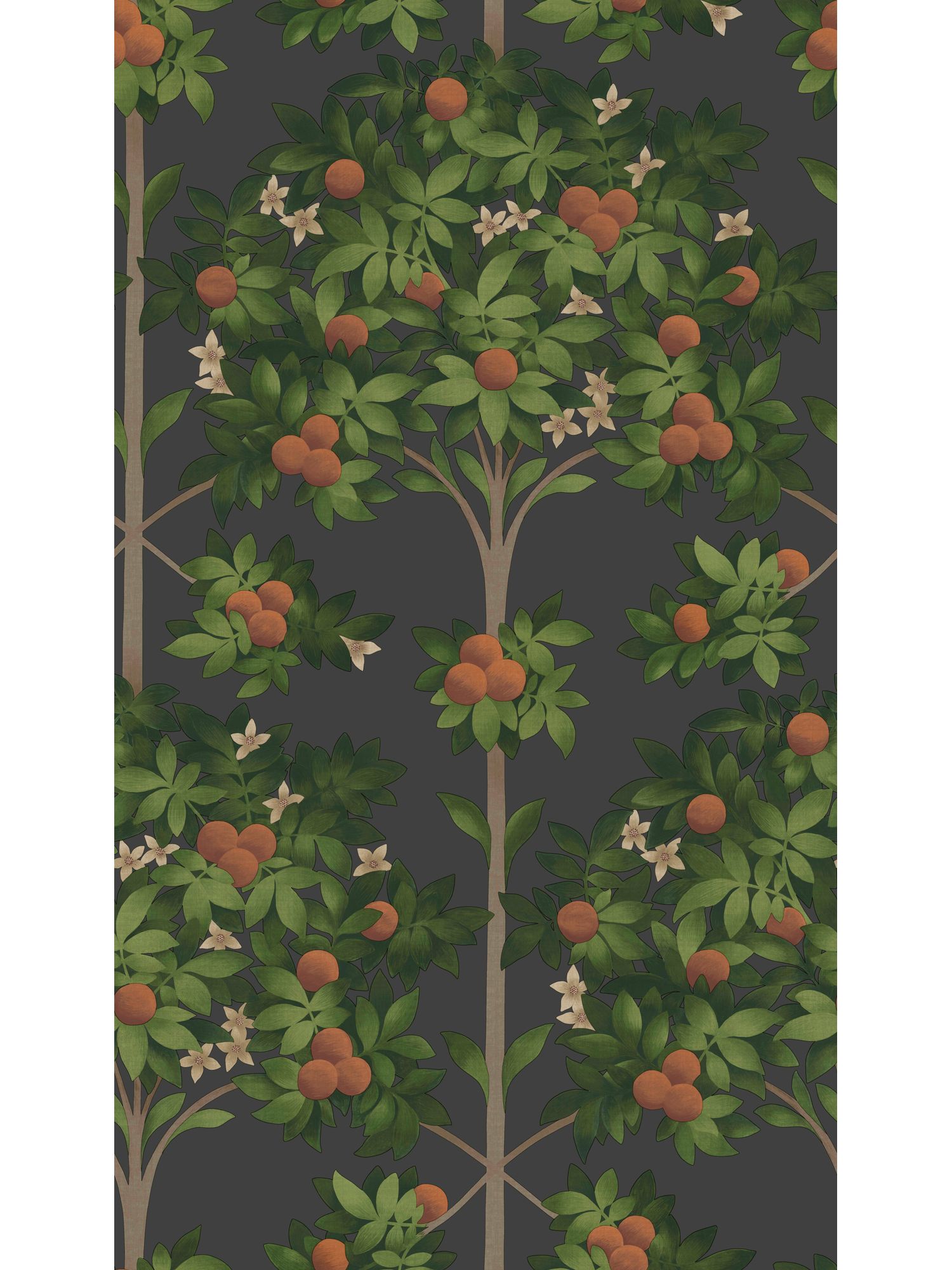 Cole & Son Orange Blossom Wallpaper at John Lewis & Partners