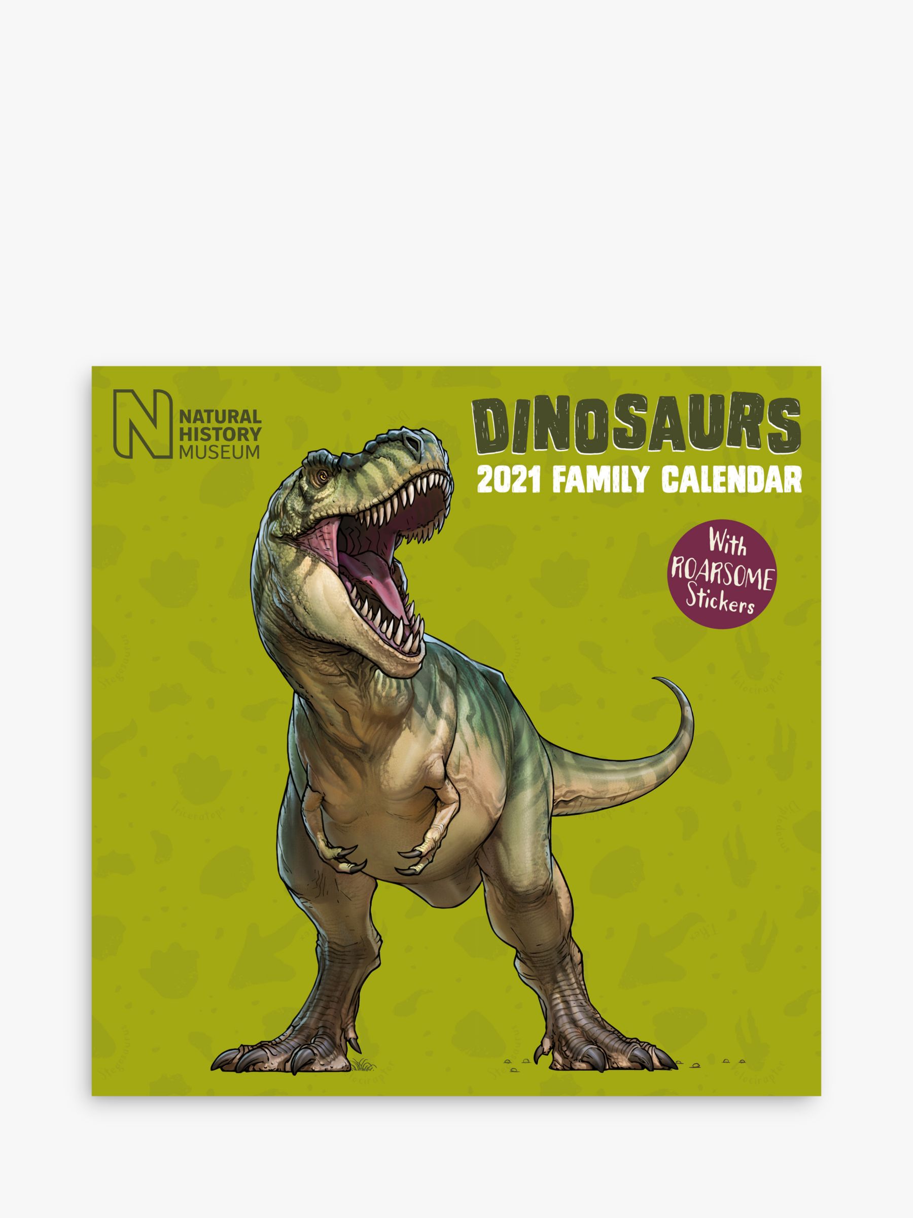 Natural History Museum Square Dinosaur Calendar