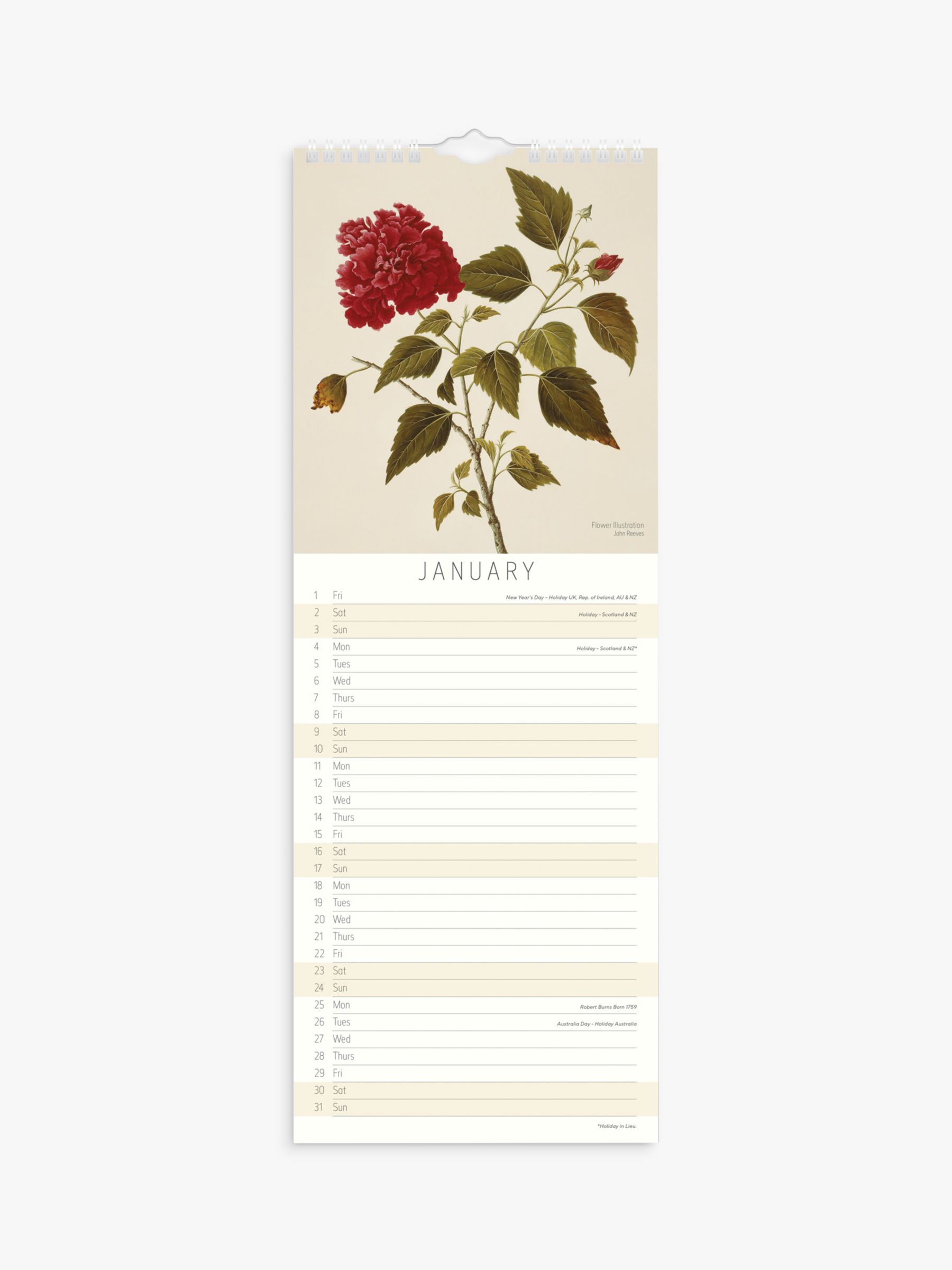 Natural History Museum Slim Botanical Calendar 2021