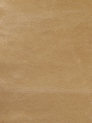 Sellvagio Parchment