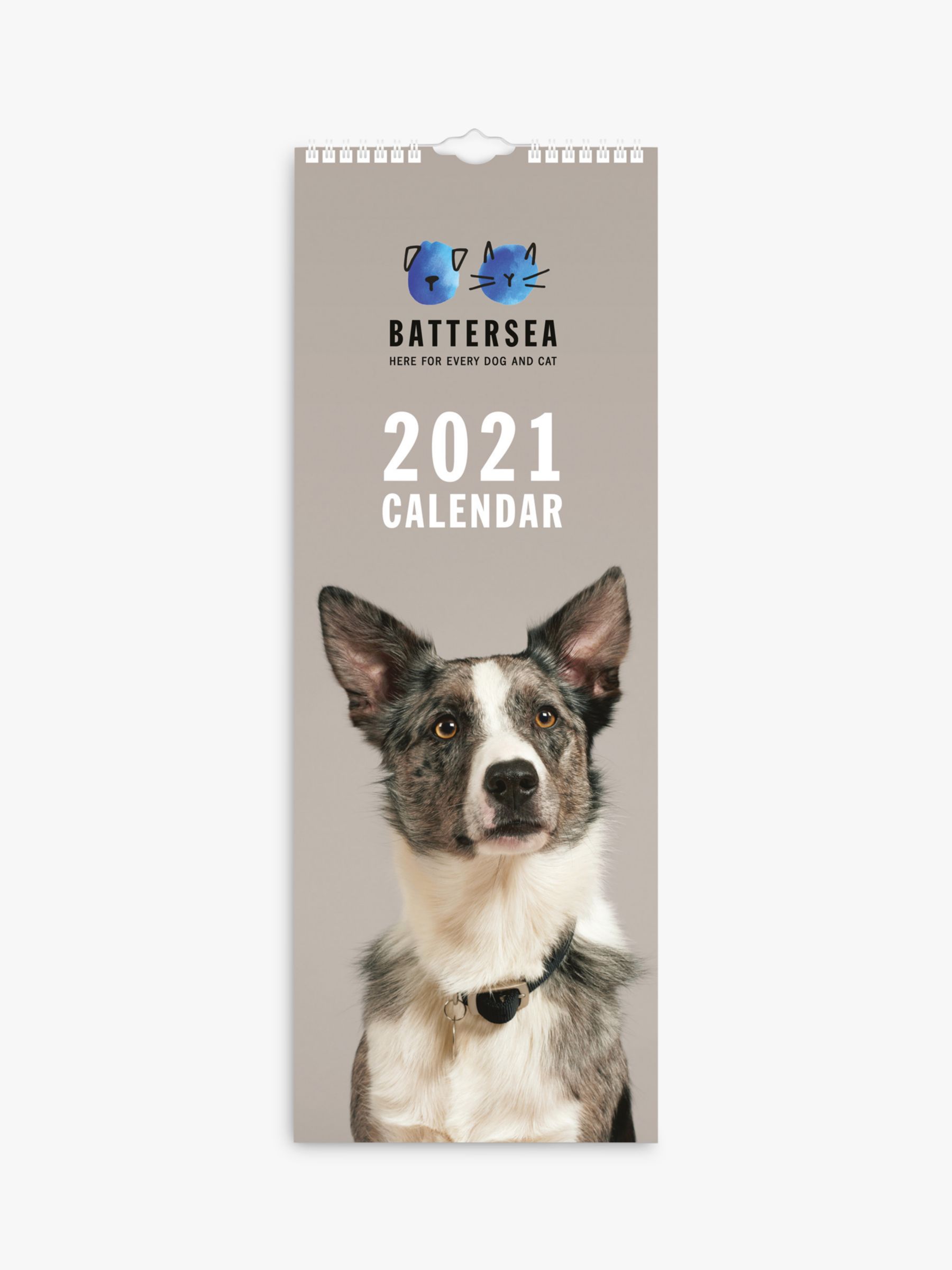 Battersea Dogs Cats Home Slim Calendar 2021 At John Lewis Partners