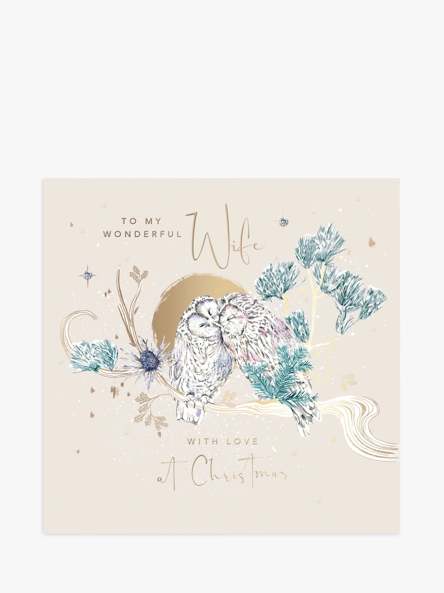 Woodmansterne Owl Wife Christmas Card