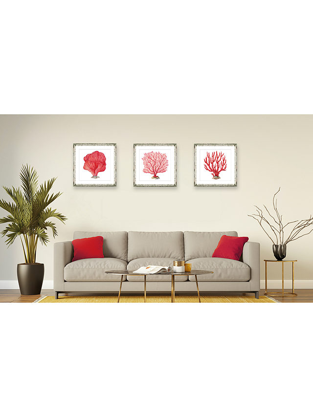 Red Coral 8 - Framed Print & Mount, 46 x 46cm, Red