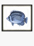Blue Fish 2 - Framed Print & Mount, 36 x 46cm, Blue