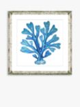Blue Seaweed 6 - Framed Print & Mount, 46 x 46cm, Blue