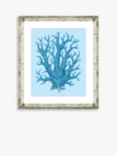 Blue Coral 8 - Framed Print & Mount, 46 x 36cm, Blue