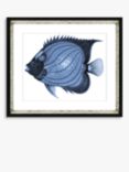Blue Fish 1 - Framed Print & Mount, 36 x 46cm, Blue
