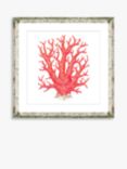 Red Coral 9 - Framed Print & Mount, 46 x 46cm, Red