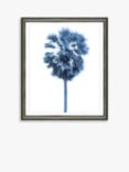 Blue Palm Tree 3 - Framed Print & Mount, 66 x 56cm, Blue