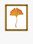 Brookpace Lascelles 'Ginkgo Leaf 3' Framed Print & Mount, 56 x 46cm, Orange