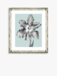 Tulip on Blue 5 - Framed Print & Mount, 46 x 36cm, Blue