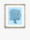 Blue Coral 5 - Framed Print & Mount, 46 x 36cm, Blue