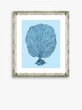 Blue Coral 1 - Framed Print & Mount, 46 x 36cm, Blue