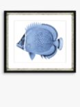 Blue Fish 4 - Framed Print & Mount, 36 x 46cm, Blue
