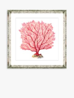 Red Coral 7 - Framed Print & Mount, 46 x 46cm, Red