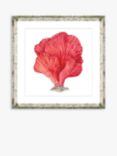 Brookpace Lascelles 'Red Coral I' Framed Print & Mount, 46 x 46cm, Red