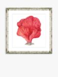 Red Coral I - Framed Print & Mount, 46 x 46cm, Red
