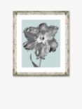 Tulip on Blue 6 - Framed Print & Mount, 46 x 36cm, Blue