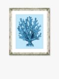 Blue Coral 4 - Framed Print & Mount, 46 x 36cm, Blue