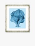 Blue Coral 3 - Framed Print & Mount, 46 x 36cm, Blue