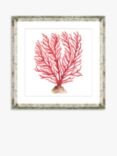 Brookpace Lascelles 'Red Coral 5' Framed Print & Mount, 46 x 46cm, Red