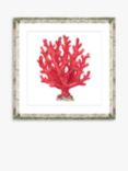 Red Coral 4 - Framed Print & Mount, 46 x 46cm, Red