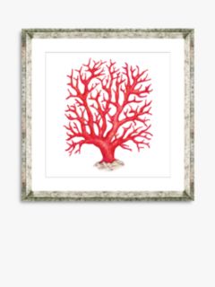 Red Coral 2 - Framed Print & Mount, 46 x 46cm, Red