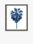 Blue Palm Tree 1 - Framed Print & Mount, 66 x 56cm, Blue