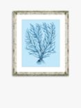 Blue Coral 9 - Framed Print & Mount, 46 x 36cm, Blue