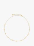 Wanderlust + Co Zyia Choker Necklace, Gold