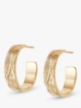 Daisy London Nomad Textured Hoop Earrings, Gold