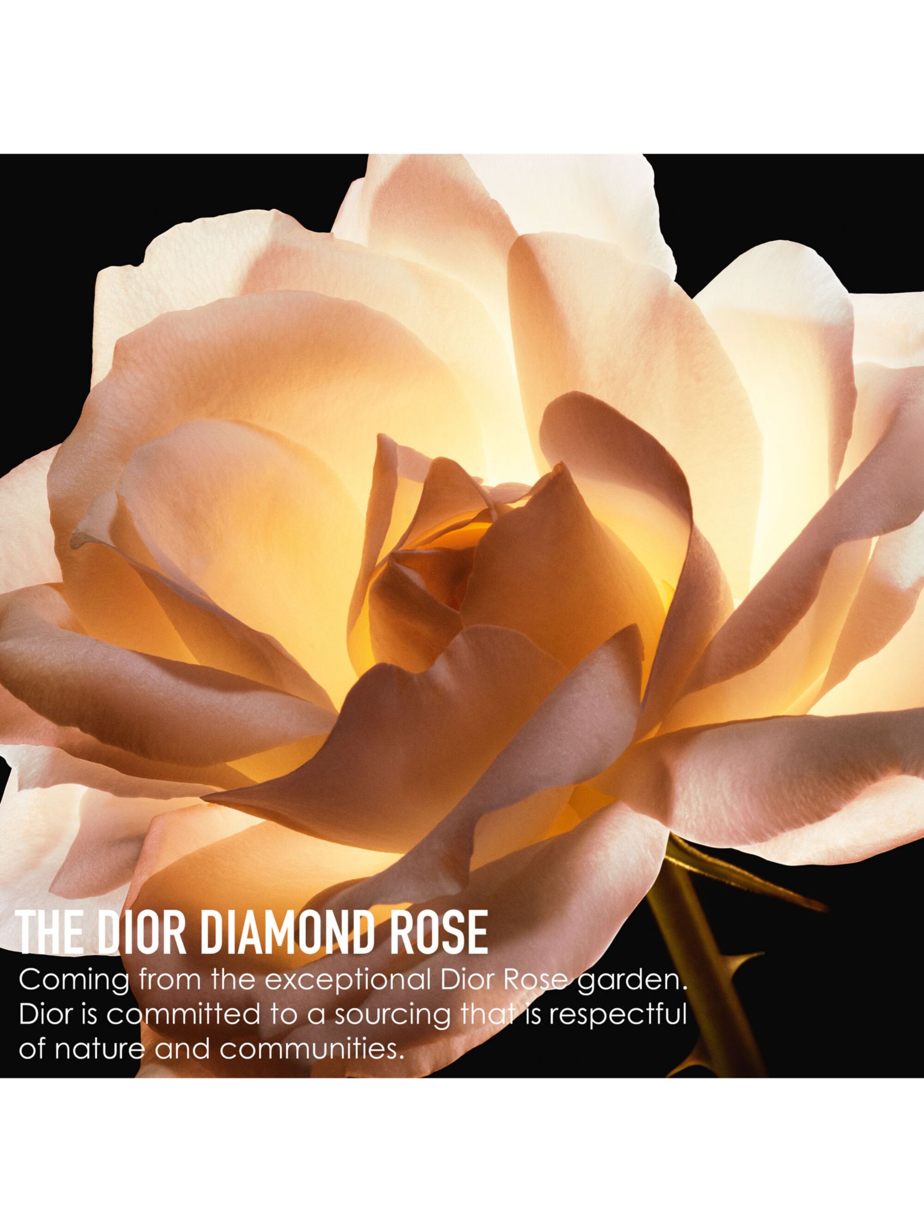 DIOR Prestige La Micro-Huile de Rose Advanced Serum, 30ml 7