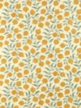 Sanderson Anaar Furnishing Fabric, Woad