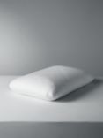 SleepGreen Vegan Natural Latex Standard Pillow, Medium/Firm