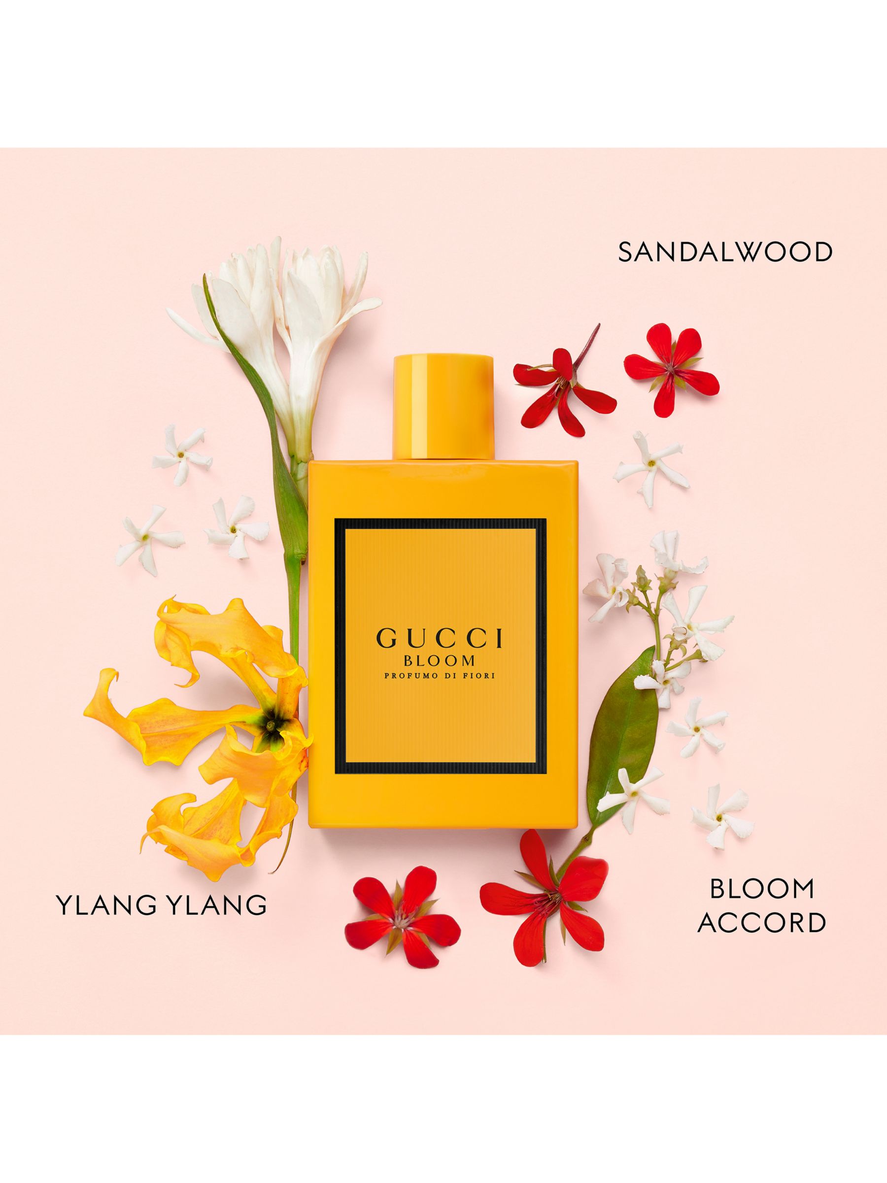 Gucci Bloom Ambrosia Di Fiori Eau de Parfum Intense 50ml