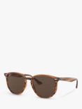 Ray-Ban RB4306 Unisex Oval Sunglasses