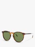 Ralph Lauren RL8181P Men's Oval Sunglasses, Antique Havana/Green