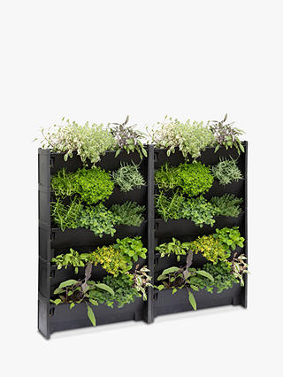 The Little Botanical 40 Herbs Outdoor Living Wall - Living Plant Wall Outdoor