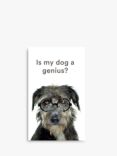 Allsorted Is My Dog A Genius Book