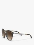 Emporio Armani EA4148 Women's Phantos Sunglasses, Shiny Havana