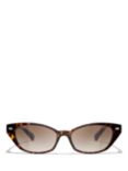 CHANEL Polarised Cat's Eye Sunglasses CH5438Q Havana/Brown Gradient