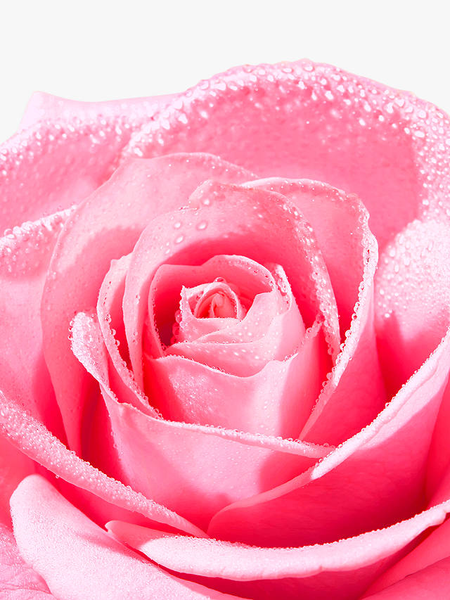 NUXE Very Rose Refreshing Toning Mist, 200ml 4